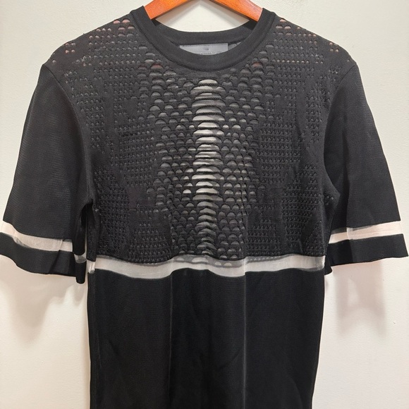 Alexander Wang for H&M Dress Mesh Elegant Dress Celebrity Style Size Medium - Picture 4 of 16